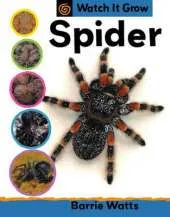 Watch It Grow: Spider