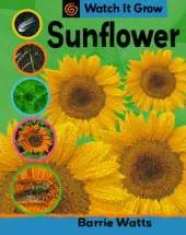 Watch It Grow: Sunflower