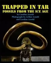 Trapped in Tar: Fossils from the Ice Age