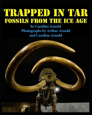 Trapped in Tar: Fossils from the Ice Age
