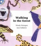 Walking in the Forest