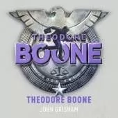 Theodore Boone: Theodore Boone 1