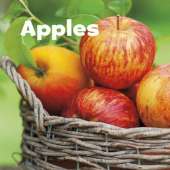 Celebrate Autumn Pack A of 4