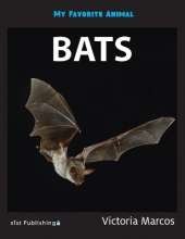 My Favorite Animal: Bats