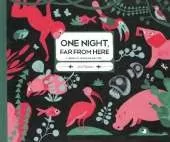 One Night Far From Here