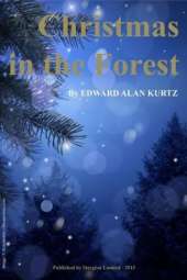 Christmas in the Forest