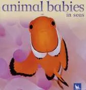 Animal Babies in Seas