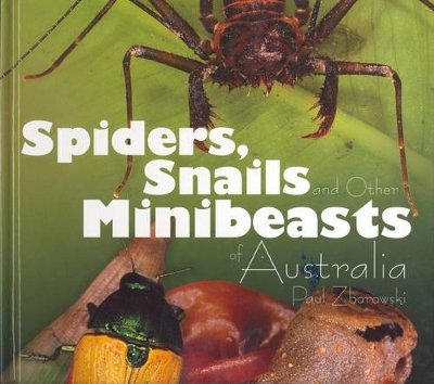 Spiders: Snails and Other Minibeasts of Australia