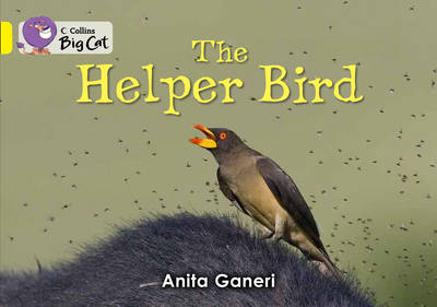 Helper Bird Workbook