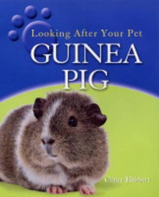 Guinea Pig