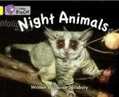 Night Animals Workbook
