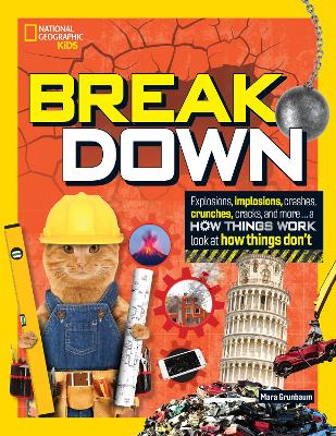Break Down!: Explosions, Implosions, Crashes, Crunches, Cracks, and More … a How Things Work Look at How Things Break