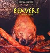 Beavers and Their Homes