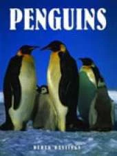 Penguins