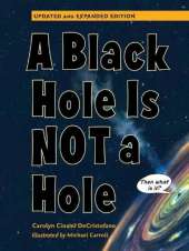 A Black Hole is Not a Hole