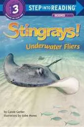 Stingrays! Underwater Fliers
