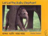 Lai Lai the Baby Elephant