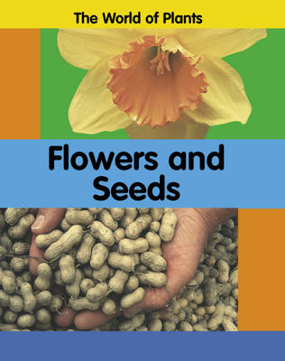 The World of Plants: Flowers and Seeds