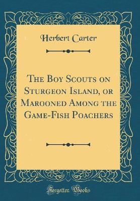 The Boy Scouts on Sturgeon Island, or Marooned Among the Game-Fish Poachers (Classic Reprint)