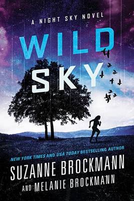 Wild Sky: A Night Sky Novel