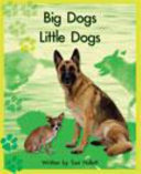 Springboard Lvl 11g: Big Dogs, Little Dog