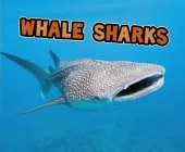 All About Sharks Pack A of 4