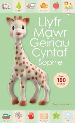 Llyfr Mawr Geiriau Cyntaf