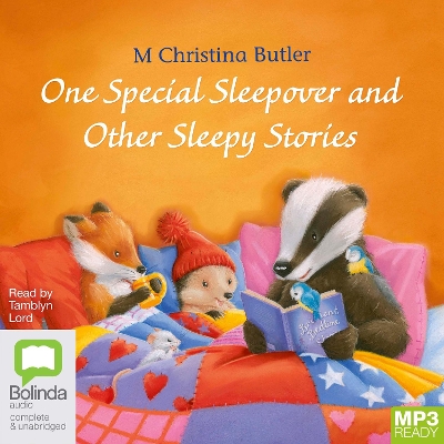 One Special Sleepover: And Other Sleepy Stories