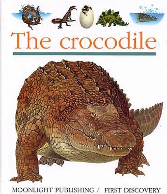 Crocodile