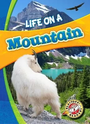 Life in a Mountain