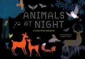 Animals at Night: A Glow-in-the-Dark Book