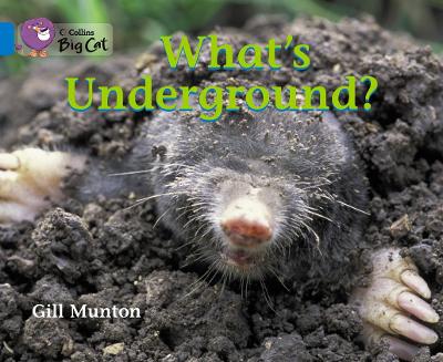 What's Underground? Workbook