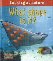 What Shape is It?
