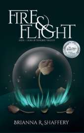 Fire & Flight