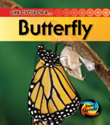 The Life of a Butterfly