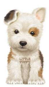 Little Puppy
