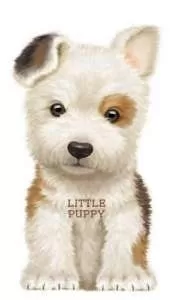 Little Puppy
