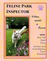 Kitten Needs a Home