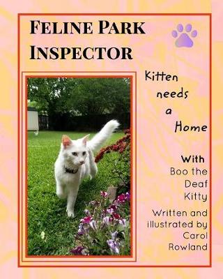 Kitten Needs a Home