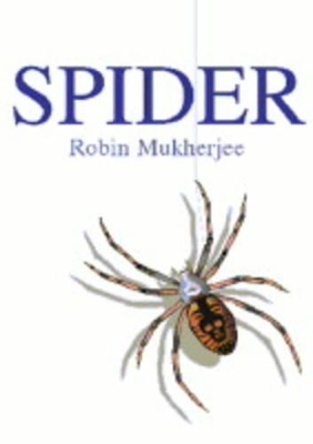 Spider/Spotlight on Drugs: Circles of Impact