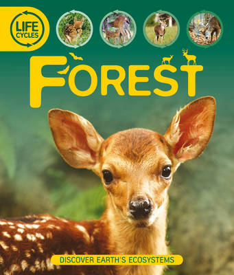 Life Cycles: Forest