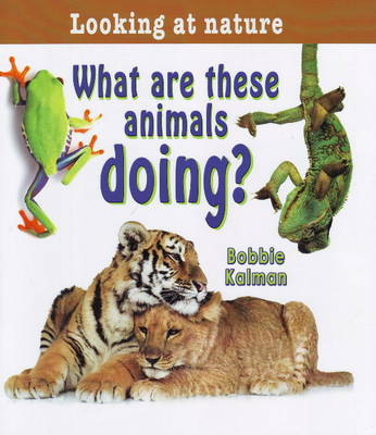What are These Animals Doing?