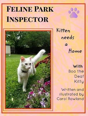 Kitten Needs a Home