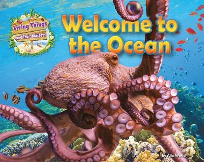 Welcome to the Ocean