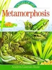 Metamorphosis