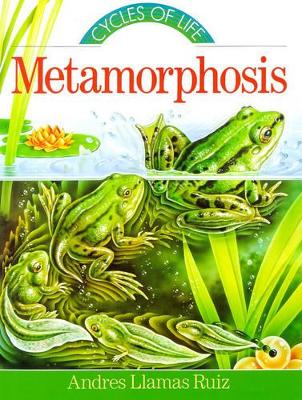 Metamorphosis