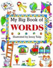 My Big Book of Words
