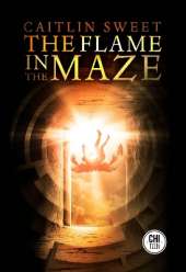 The Flame in the Maze