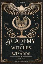Academy For Witches And Wizards: Book One - The Beginning