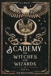 Academy For Witches And Wizards: Book One - The Beginning